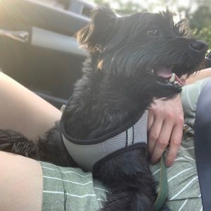 Meet your Posher, Allison